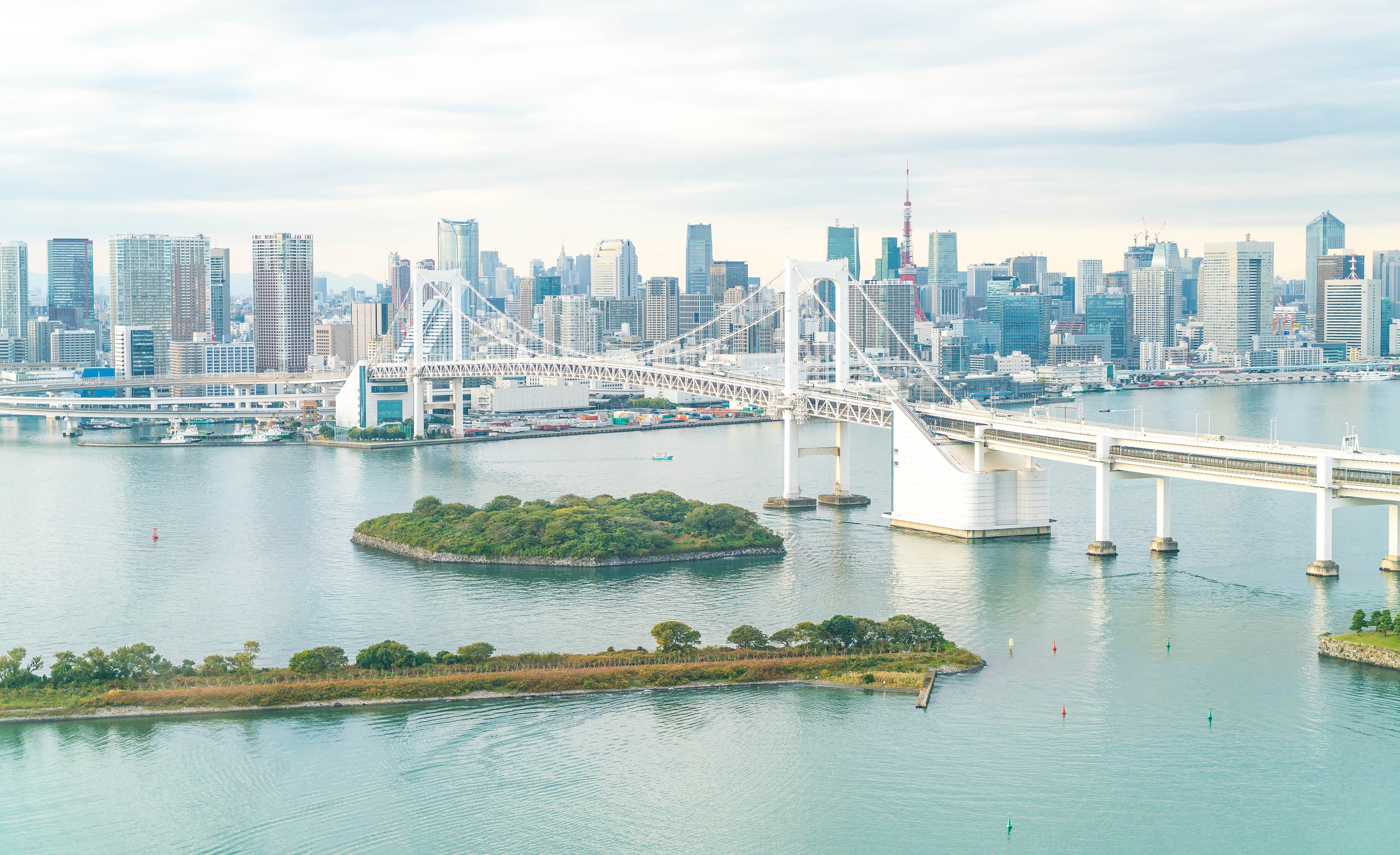 東京 システム開発会社