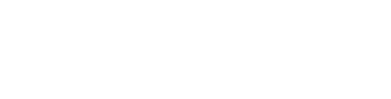 NOVEL